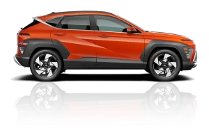 Visit ALM Hyundai Lumberton Kona
