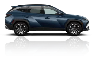 Visit ALM Hyundai Lumberton Tucson